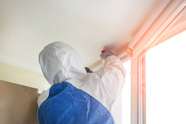 Best Mold Removal for HVAC Installations in Newcomerstown, OH