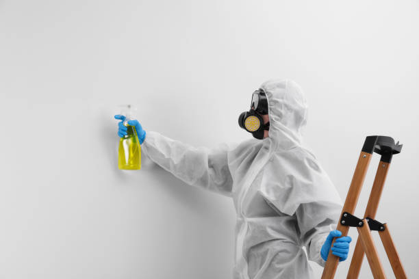 Best Mold Remediation for Healthcare Facilities in Newcomerstown, OH